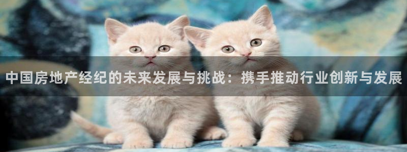 摩登7平台周7O777：中国房地产经纪的未来发展与挑战：携手