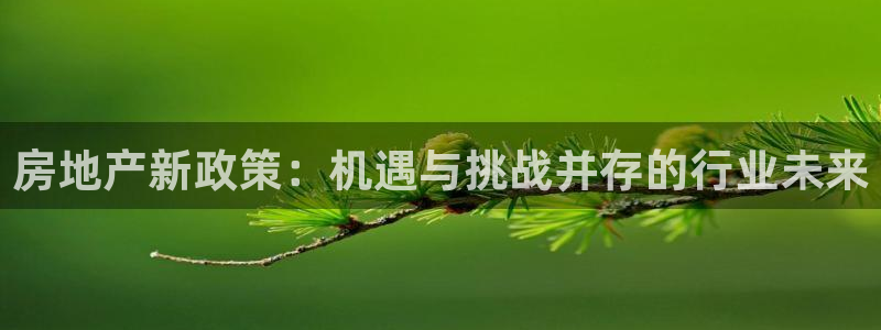 摩登7天7O667：房地产新政策：机遇与挑战并存的行业未来