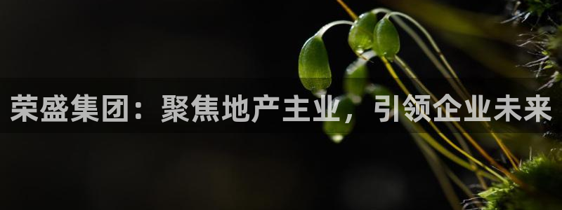 摩登注册型7O777：荣盛集团：聚焦地产主业，引领企业未来