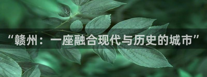 摩登7属于什么平台：“赣州：一座融合现代与历史的城市”