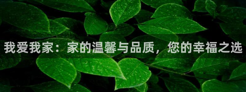 摩登7注册车333OO：我爱我家：家的温馨与品质，您的幸福之