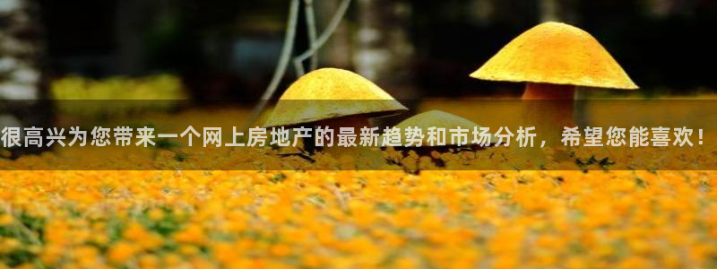 摩登7黑钱：很高兴为您带来一个网上房地产的最新趋势和市场分析