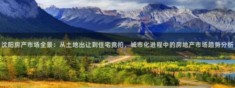 摩登7系列：沈阳房产市场全景：从土地出让到住宅竞拍，城市化进