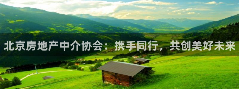 7牌摩登：北京房地产中介协会：携手同行，共创美好未来