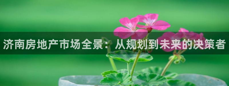 摩登7上级：济南房地产市场全景：从规划到未来的决策者