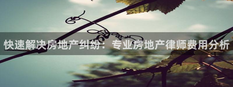 摩登7左3299O7：快速解决房地产纠纷：专业房地产律师费用