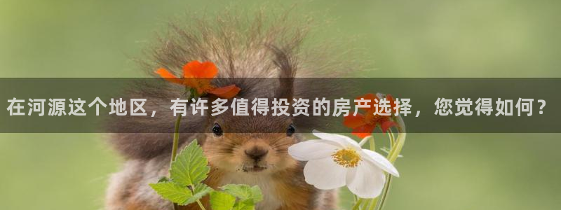 摩登7官网的详细介绍：在河源这个地区，有许多值得投资的房产选