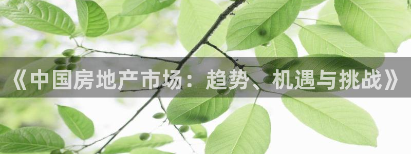 摩登3月7O667：《中国房地产市场：趋势、机遇与挑战》