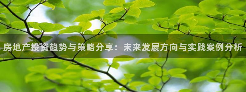 摩登7游戏：房地产投资趋势与策略分享：未来发展方向与实践案例