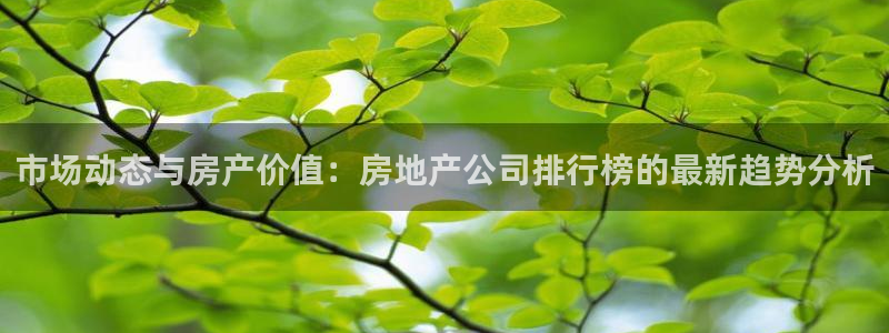 摩登7注册qv382223：市场动态与房产价值：房地产公司排