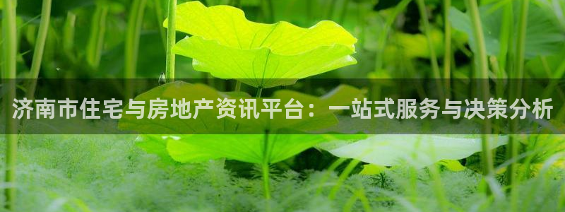 摩登7左7O667：济南市住宅与房地产资讯平台：一站式服务与