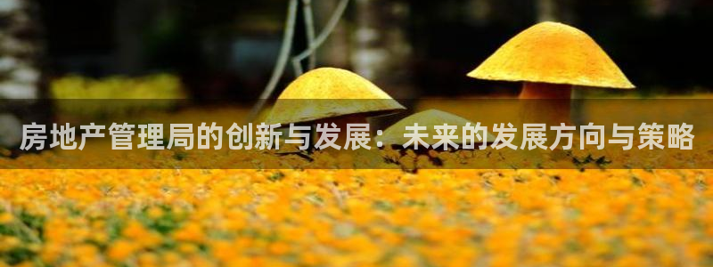 摩登7平台咱7O777：房地产管理局的创新与发展：未来的发展