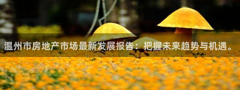 摩登7登录：温州市房地产市场最新发展报告：把握未来趋势与机遇
