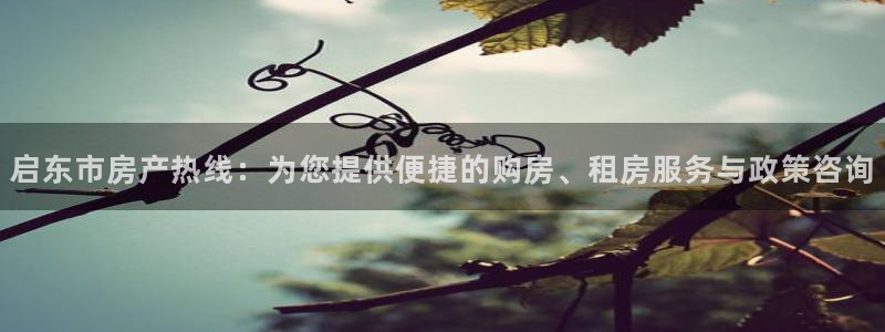 摩登7娱乐平台登录不了：启东市房产热线：为您提供便捷的购房、