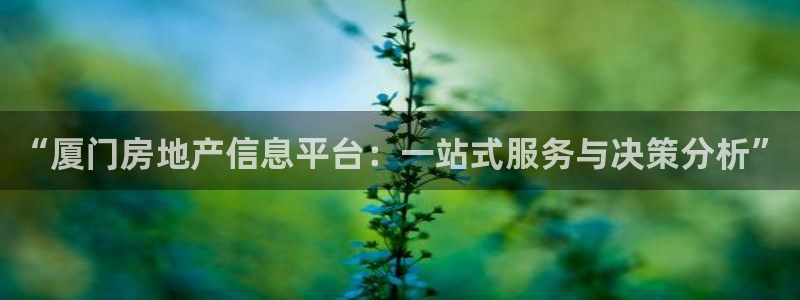 摩登7口碑