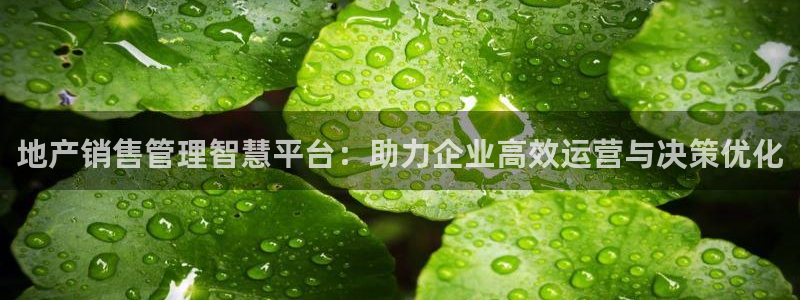 摩登招商7快22650：地产销售管理智慧平台：助力企业高效运