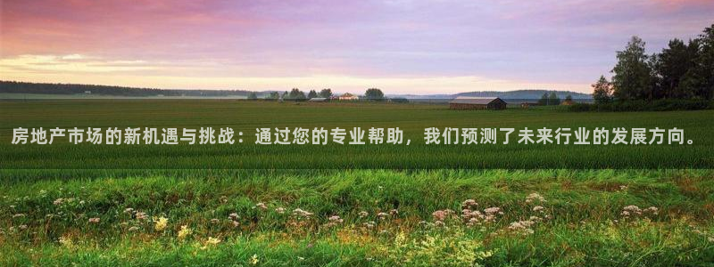摩登6地7O667：房地产市场的新机遇与挑战：通过您的专业帮