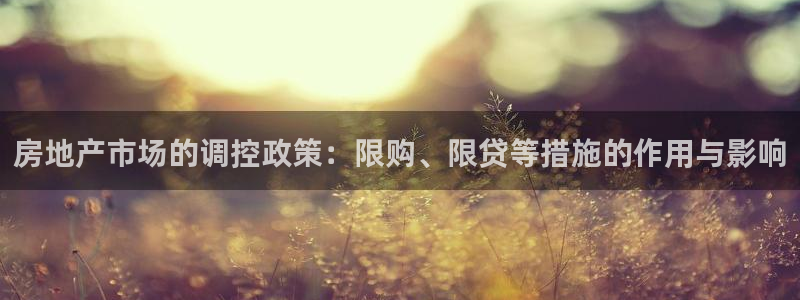 摩登7注册快333OO：房地产市场的调控政策：限购、限贷等措