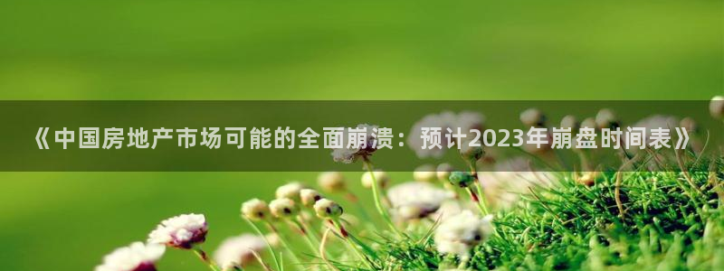 摩登7平台总代理：《中国房地产市场可能的全面崩溃：预计202