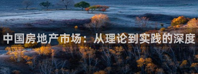 摩登5右7O667：中国房地产市场：从理论到实践的深度