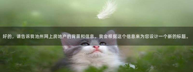 摩登7右：好的，请告诉我池州网上房地产的背景和信息。我会根据