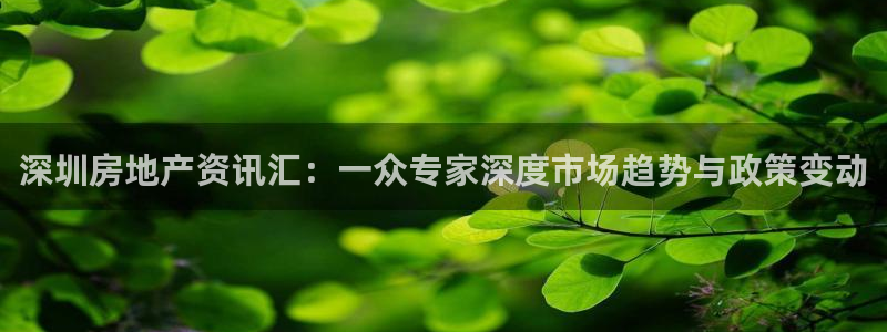 摩登5右7O667