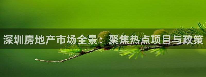 摩登7直属招商：深圳房地产市场全景：聚焦热点项目与政策