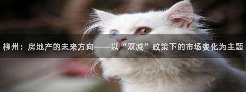 摩登招商虍金手指排名7：柳州：房地产的未来方向——以“双减”