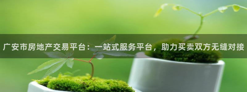 摩登3月7O667：广安市房地产交易平台：一站式服务平台，助