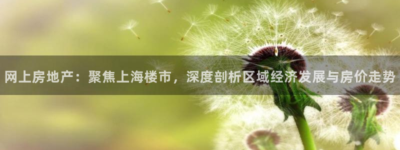 摩登7口碑：网上房地产：聚焦上海楼市，深度剖析区域经济发展与