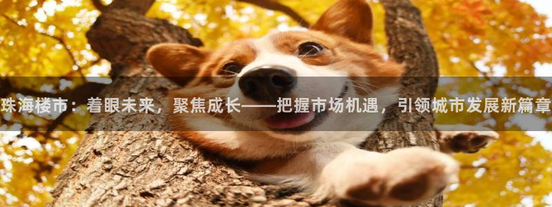 摩登7主管qq：珠海楼市：着眼未来，聚焦成长——把握市场机遇