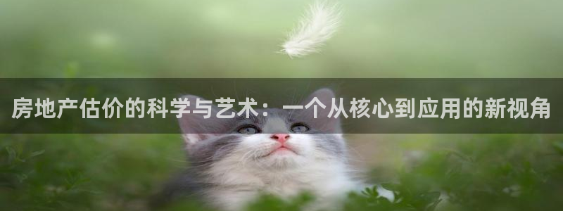 摩登7口碑：房地产估价的科学与艺术：一个从核心到应用的新视角