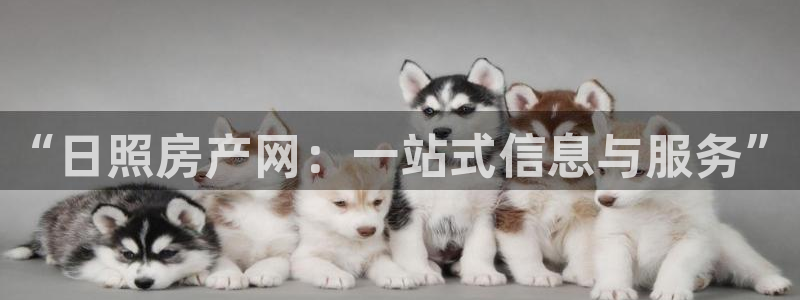 摩登7链接：“日照房产网：一站式信息与服务”