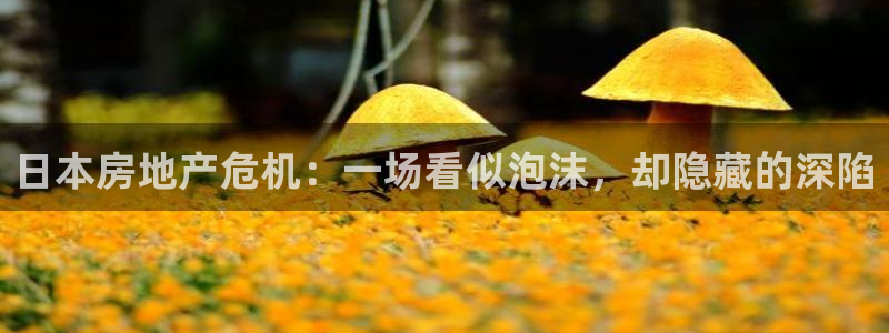 摩登6下7O667