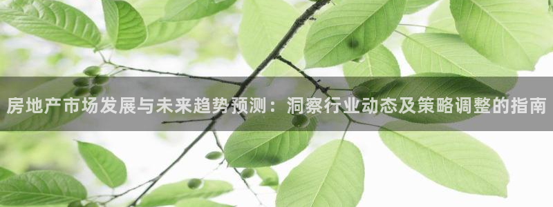 摩登7招商排名：房地产市场发展与未来趋势预测：洞察行业动态及