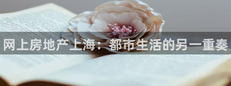 摩登4地7O667：网上房地产上海：都市生活的另一重奏