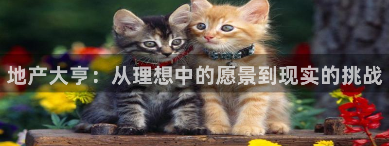 摩登7地3299O7：地产大亨：从理想中的愿景到现实的挑战