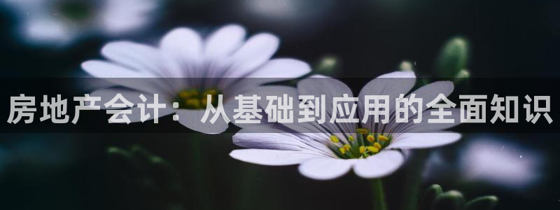 摩登3冯7O667：房地产会计：从基础到应用的全面知识