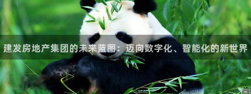 摩登7游戏：建发房地产集团的未来蓝图：迈向数字化、智能化的新
