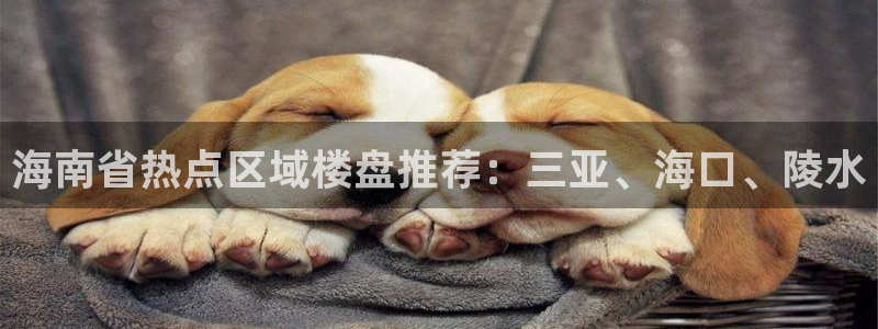 摩登7高管：海南省热点区域楼盘推荐：三亚、海口、陵水