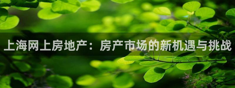 摩登7娱乐找qv382223：上海网上房地产：房产市场的新机