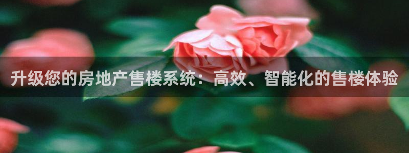 摩登7重工摩登：升级您的房地产售楼系统：高效、智能化的售楼体