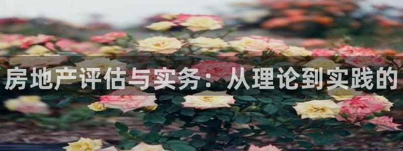 摩登7登录释333OO：房地产评估与实务：从理论到实践的