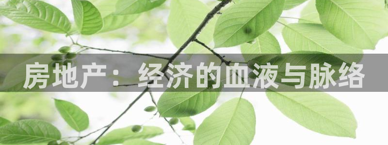 摩登7平台登录网址：房地产：经济的血液与脉络