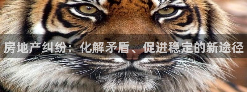 摩登天空7：房地产纠纷：化解矛盾、促进稳定的新途径
