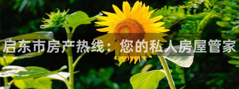 摩登7代理382223：启东市房产热线：您的私人房屋管家
