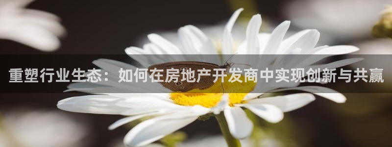 摩登7来宾：重塑行业生态：如何在房地产开发商中实现创新与共赢