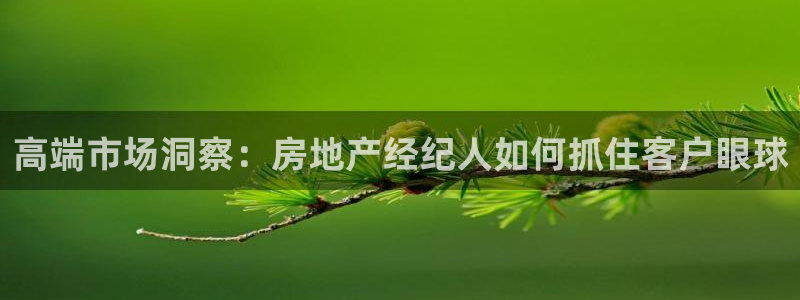 摩登7官网在哪下载：高端市场洞察：房地产经纪人如何抓住客户眼