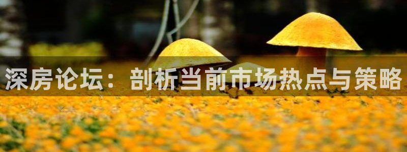 摩登7网彩正规吗：深房论坛：剖析当前市场热点与策略