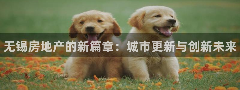 摩登7月7O667：无锡房地产的新篇章：城市更新与创新未来